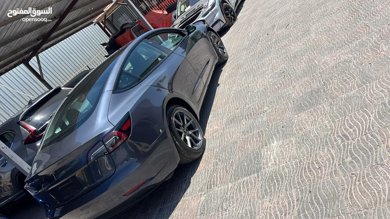 تيسلا موديل 3 لون فيراني ...2023 standard  plus  حرة