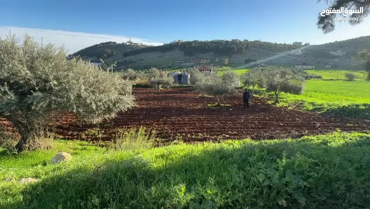 ارض للبيع تصلح شليه او سكني وزراعي