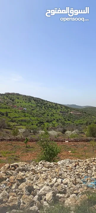 مزرعه مع بيت راقيه راس منيف موقع مميز مطله و بسعر مغري جدا