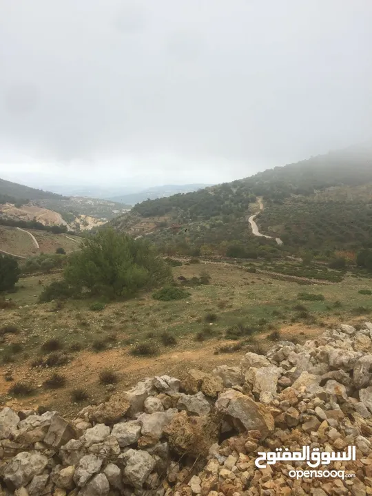فرصة استثمارية! أرض زراعية مميزة بسعر مغري و بالقرب من أحراش الدولة للمزيد من المعلومات اقرأ الوصف