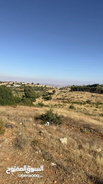 غرب سوف سهلات الغربيه قرب قصر السفير الاماراتي منطقه فلل و مزارع راقيه