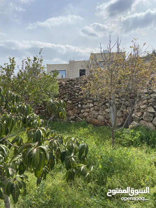 بيت ريفي مع مزرعة