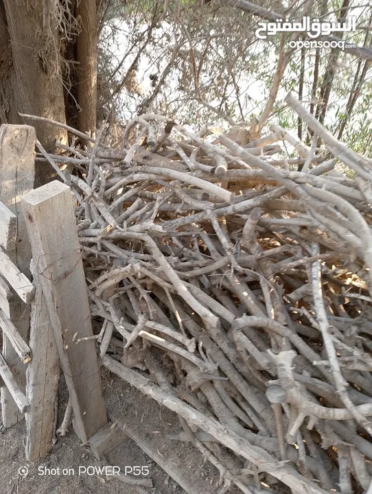 تشكيلة حطب للبيع