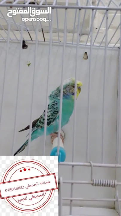 سعر حرققققق