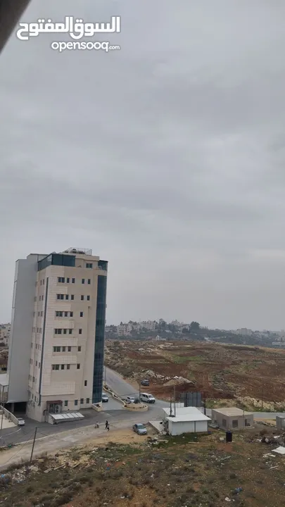 روف بسردا بسعر مرتب