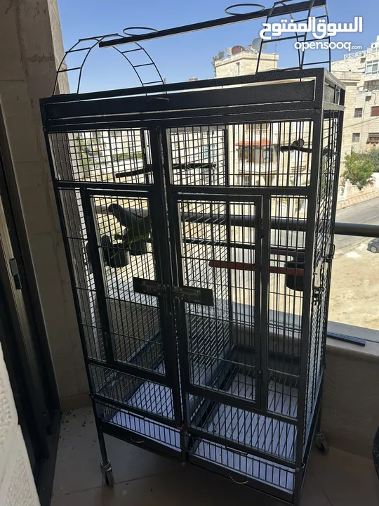 قفص ببغاء مع فاصل