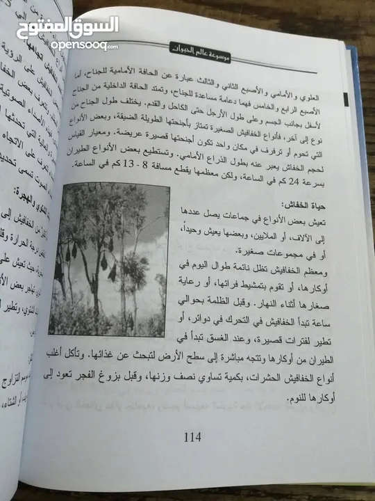 500 نسخة من كتاب موسوعة عالم الحيوان