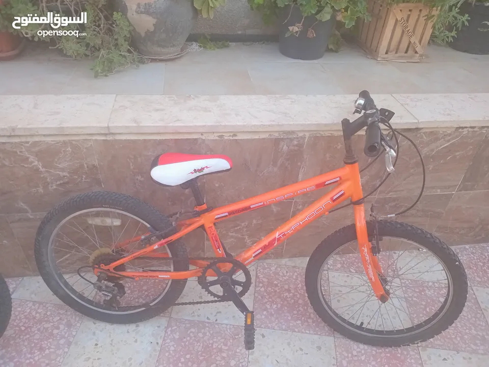 بسكليت نمره 20