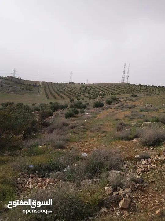 3600م للبيع رحاب بني حسن مرتفعه ومطله ع طريق اريد الزرقاء من المالك مباشره