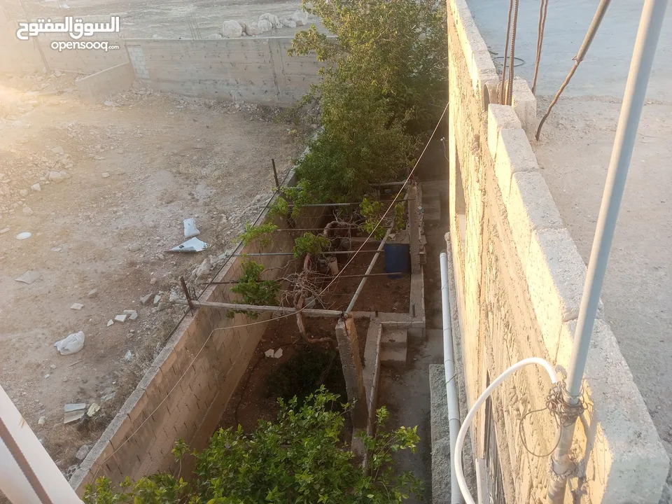 عمارة للبيع