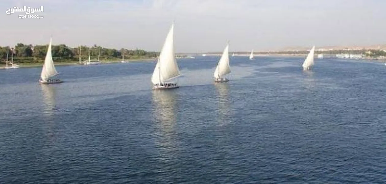 شقه على النيل مباشر 4 غرف