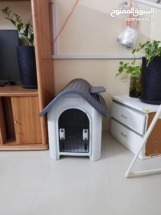 Dog ot cat house