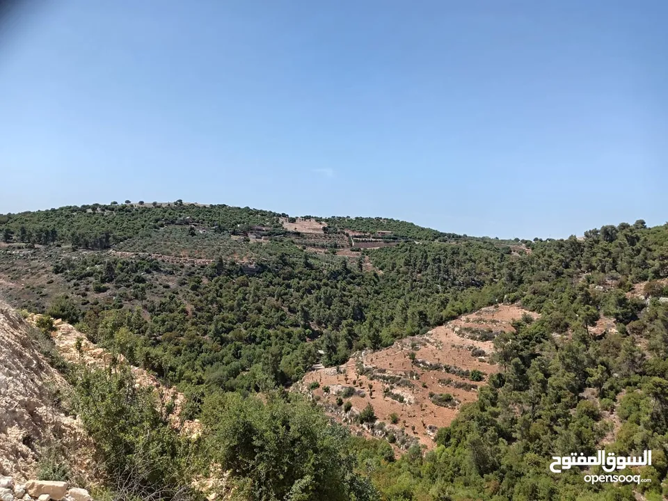 ارض ذات اطلاله ب اجمل جبال جرش بسعر مغري جداً 3900