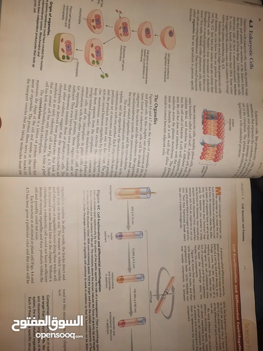 كتاب BIOLOGY