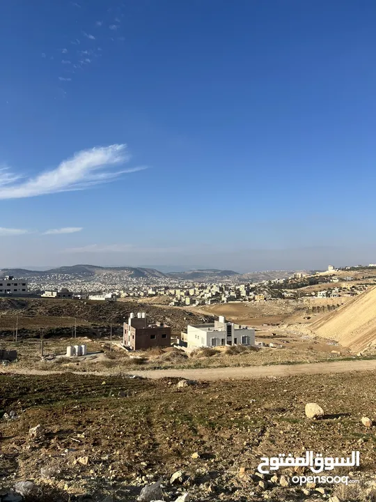 ارض مميزه بسعر مغري بجانب الجبيهه مباشرهضمن اراضي صافوط حوض ام مرهف الجنوبي وبسعر مغري جددا