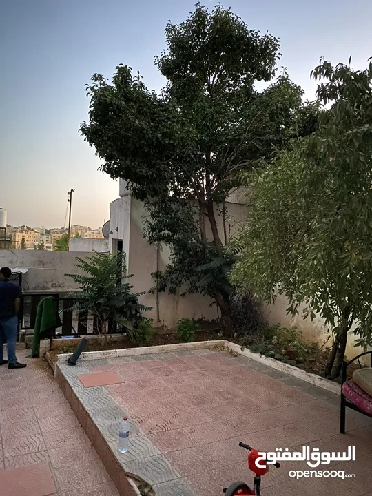 عمارة 8 شقق في العبدلي بجانب البوليفارد بدخل ممتاز للبيع بسعر الارض