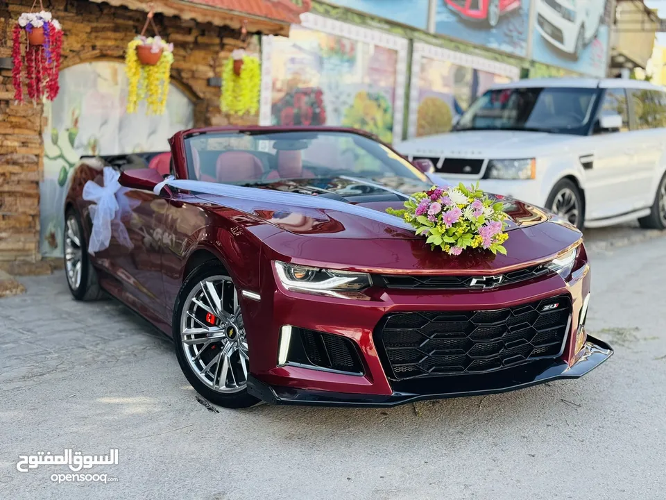 كمارو مميزززززة جداً لإيجار الاعراس و المناسبات