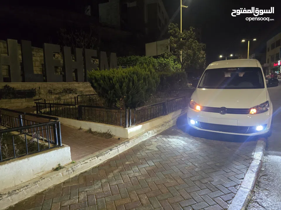 كادي شصي طويل