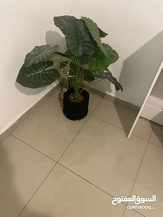 اغراض متنوعة للبيت واحذية