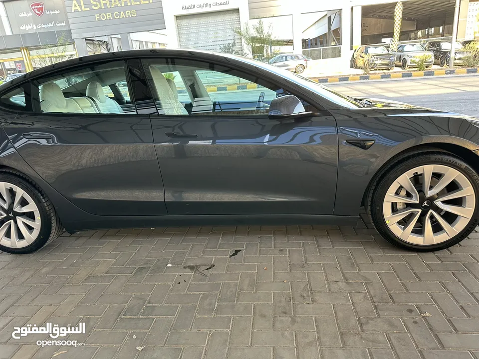 TESLA MODEL 3 LONG RANG DOILL MOTOR 2022