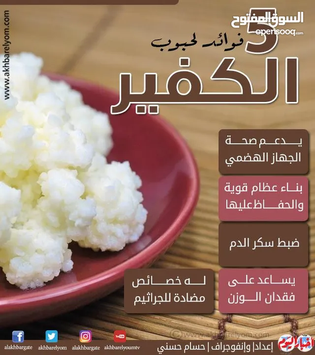 لبن الكفير،الفطر الهندي