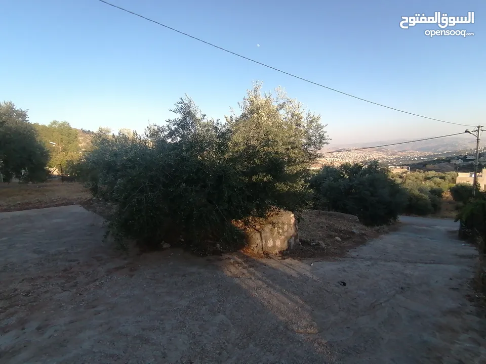 بيت ريفي للبيع في جرش - ثغرة عصفور