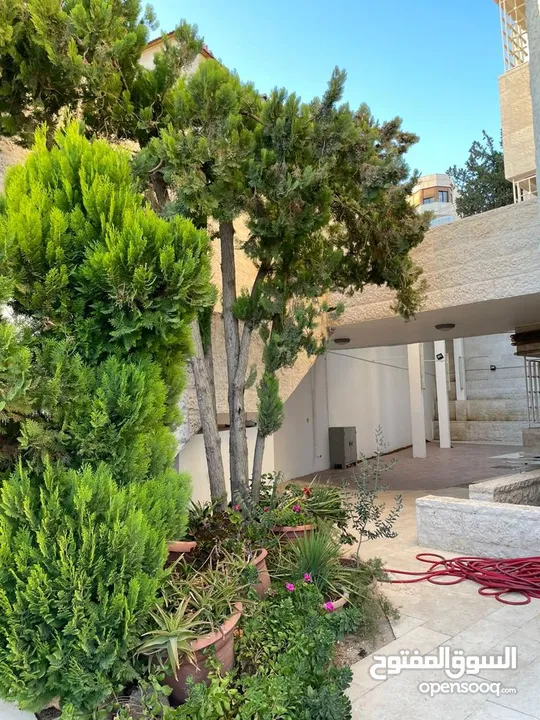شقة غير مفروشة للإيجار 400م2 ( Property 17317 )-174847981