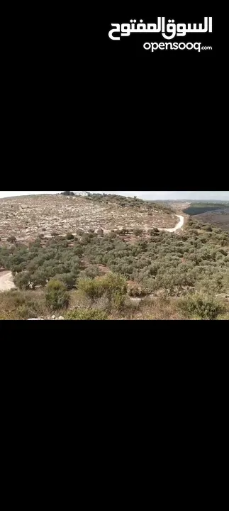 ارض في كفر راعي مساحه 117دونم