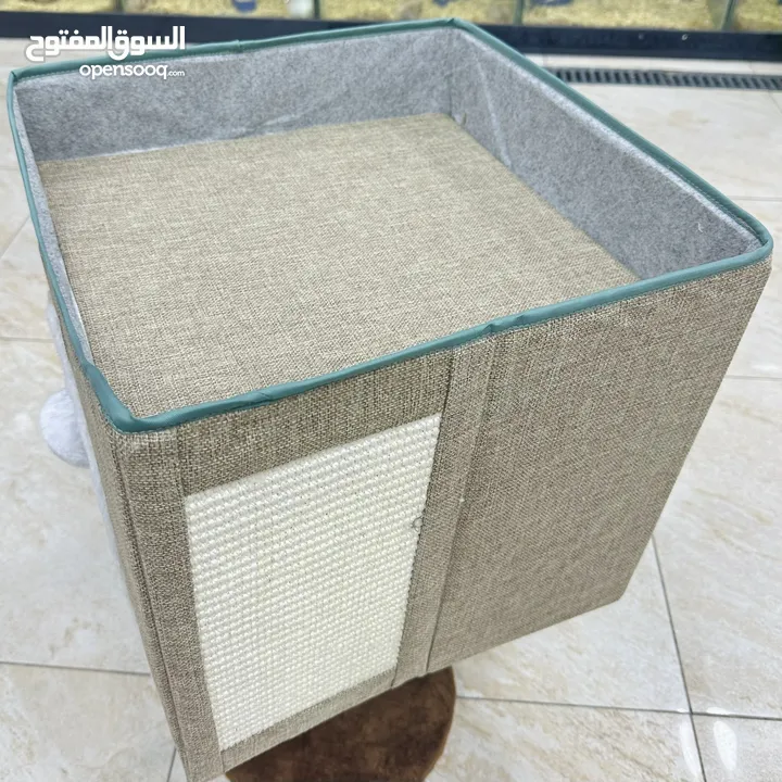 بيوت مع خداشات للقطط