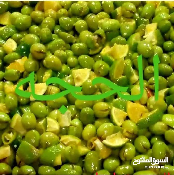زيتون الحجه مكبوس فريش تازه والذوق قبل الشراء