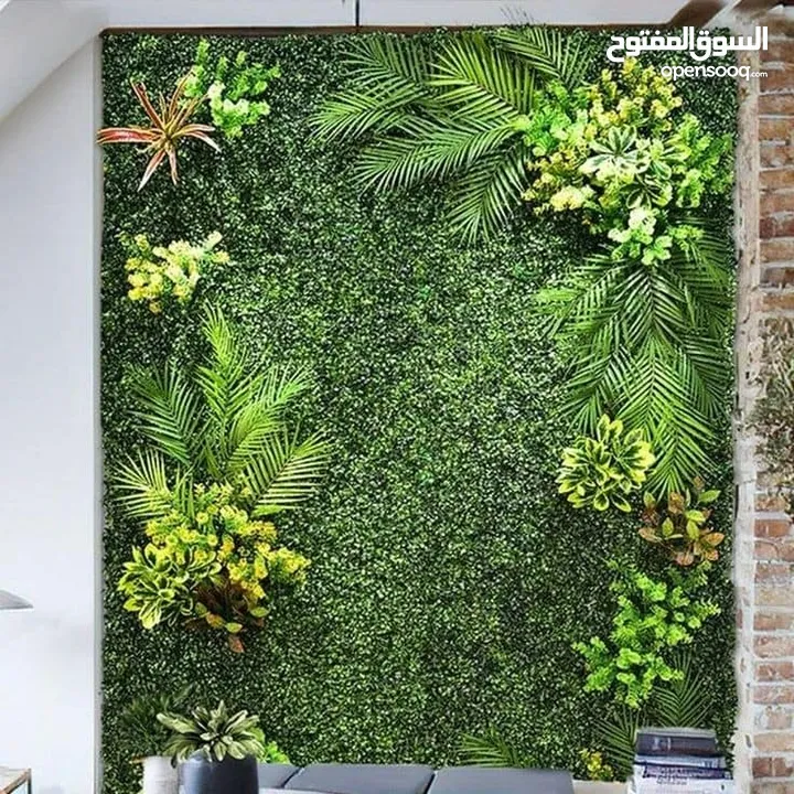 جمال الزرع المعلق الـ Green Wall  علي الحائط يستخدم في العديد من الامكان