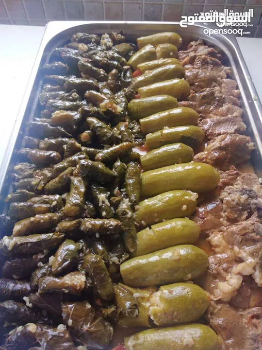 شيف طباخ شرقي وغربي وسلطات ابحث في الفندق عن عمل خبره في الاكل العربي والسلطات