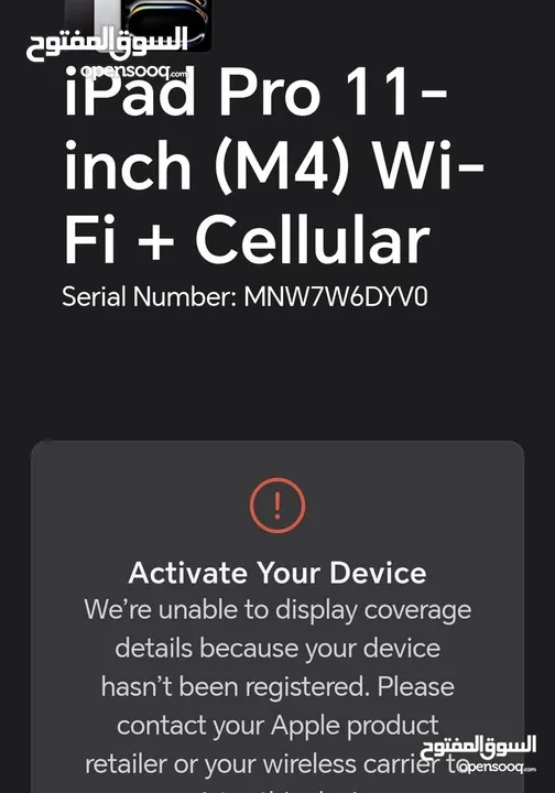 Ipad pro m4 256 giga wifi+ esim