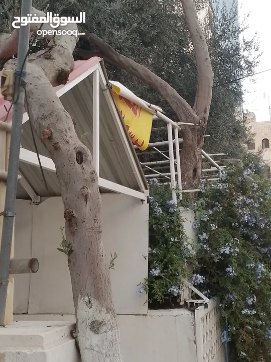 موقع يصلح لانشاء مطعم او مني ماركت او صالون سيدات اومني ماركت