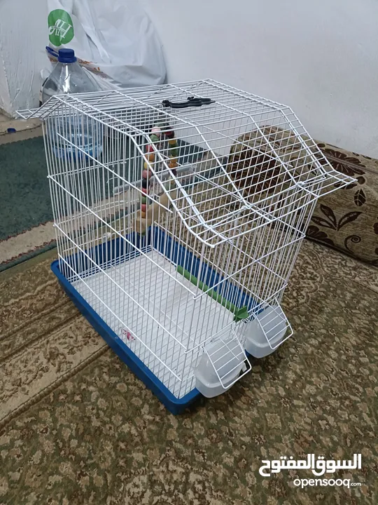 قفص عصافير