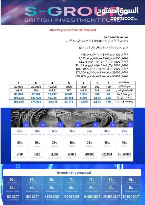 استثمار ناجح