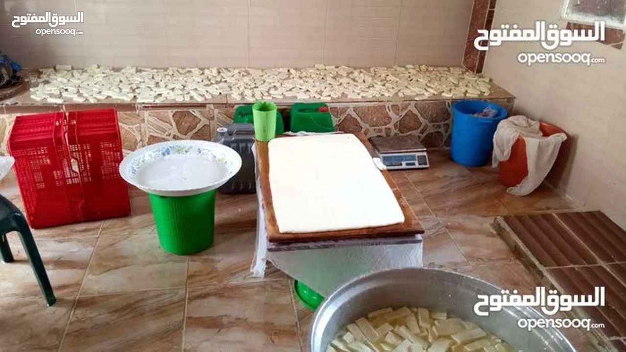 مطلوب شريك ممول لمعمل اجبان  يعمل بشكل جيد