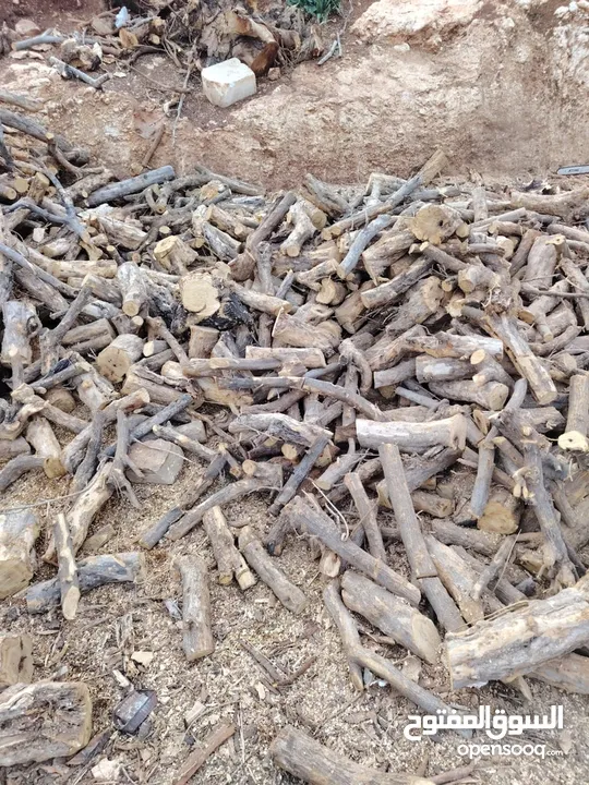 حطب زيتون زند وقرمي ناشف حطب لوزيات ناشف