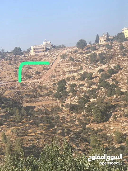 أراضي للبيع