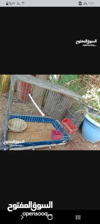 مكاوي ومجموعه اقفاص
