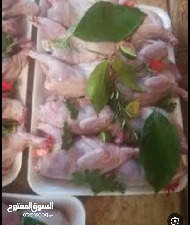 فري مذبوح جاهز