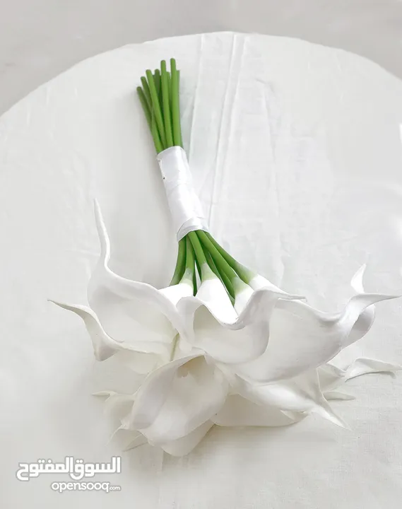 مسكات عرائس للبيع — شغل مرتب وراقي