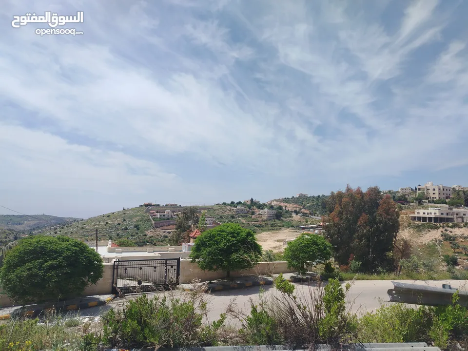دنم و 44 م مقابل مضافة الدرادكة دنم ب القمة عالي