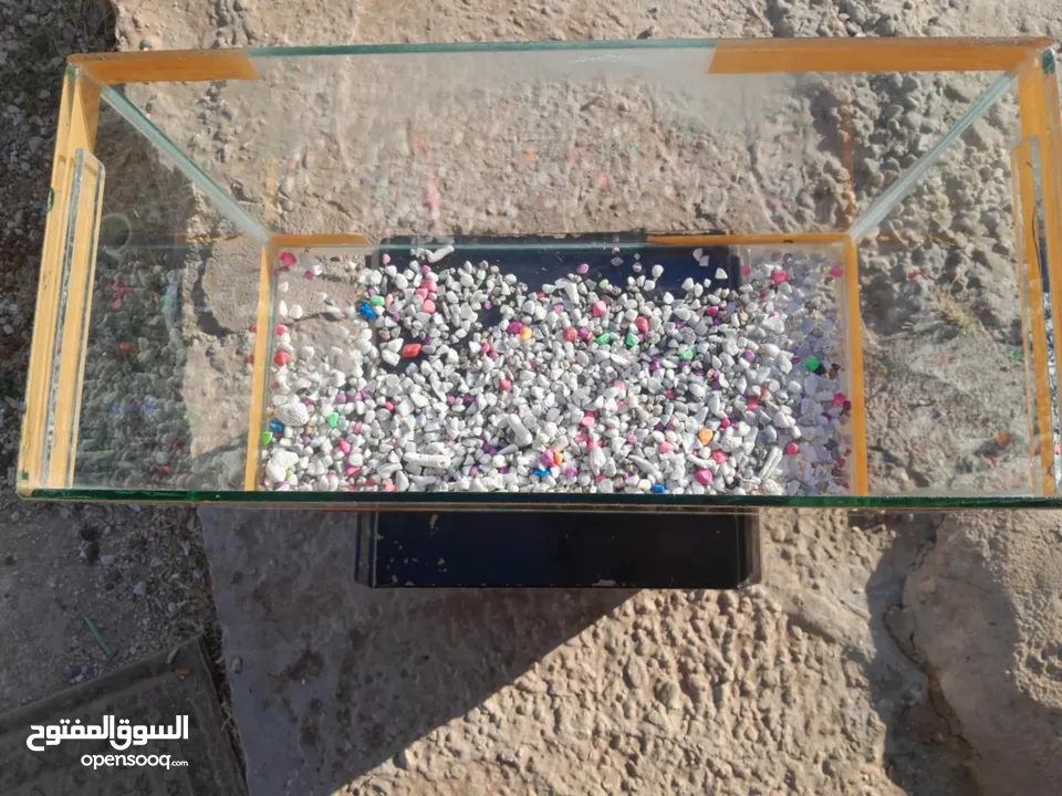 موجود حوض سمك مع الحجار بس 10 دينااار