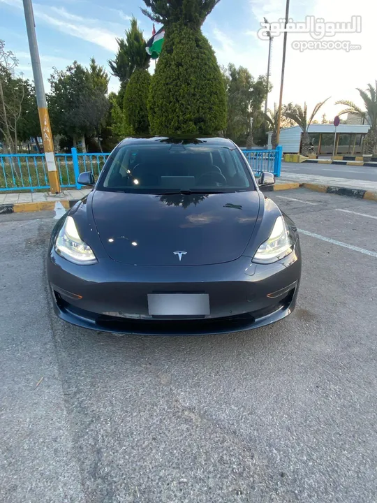 تيسلا مودل 3 استاندر بلس حره 2021 كاش او اقساط