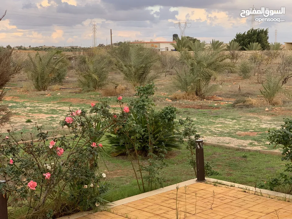 مزرعة للبيع. هكتار  في بنغازي. الكويفية