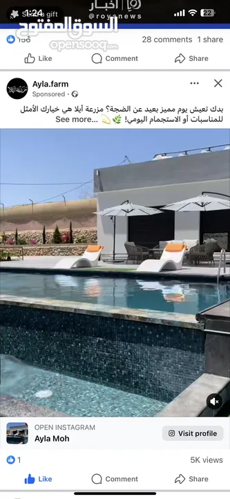 مزرعة للإيجار يومي