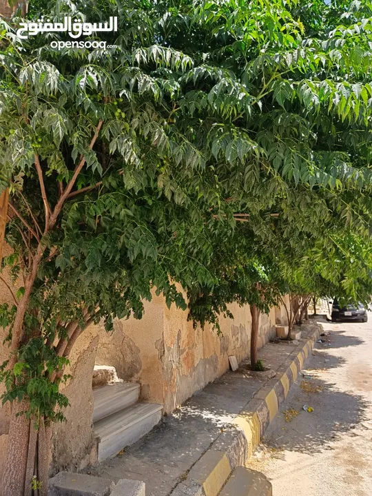 منزل مستقل للبيع