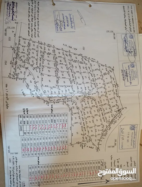 نمر للبيع بمساحات متعدده