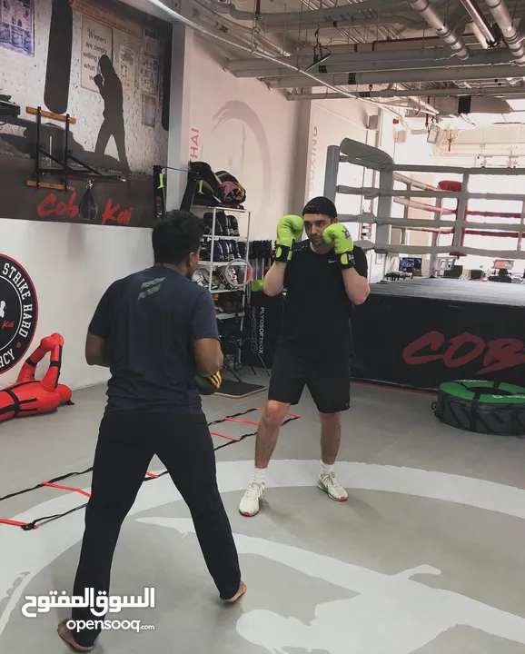 Elite Boxing & Kickboxing training